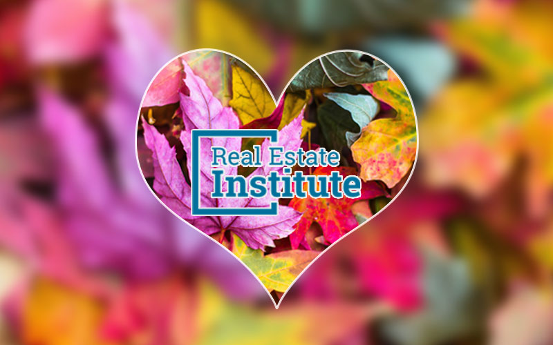 Fall in Love with A New Career