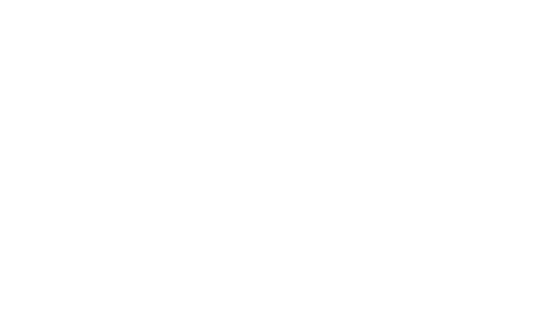 REI Advantage Logo